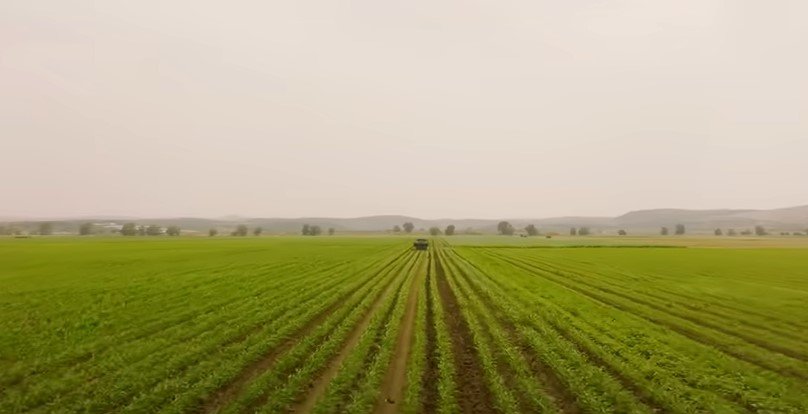 Gusttavo Lima | Fazenda produtiva e agronegócio