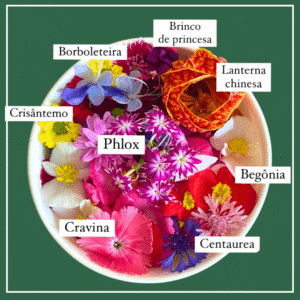 FLORES COMESTÍVEIS