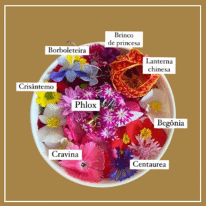 Flores Comestíveis em São Paulo