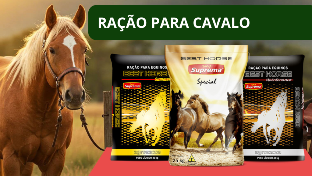 Ração para cavalo